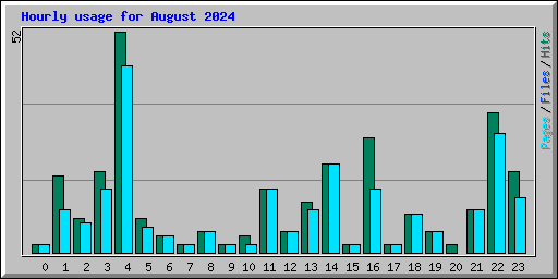 Hourly usage for August 2024