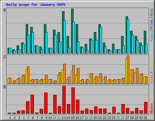 Daily usage for January 2025