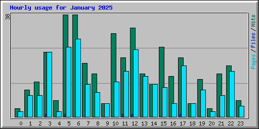 Hourly usage for January 2025