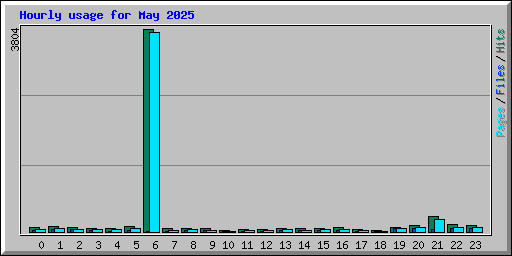 Hourly usage for May 2025