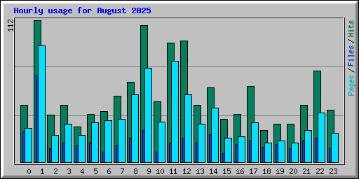 Hourly usage for August 2025