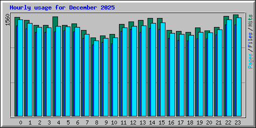 Hourly usage for December 2025