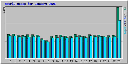 Hourly usage for January 2026